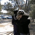 HNI_0061_wigglegram.gif