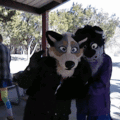 HNI_0063_wigglegram.gif